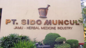 Total produksi produk Sido Muncul tercatat sebanyak 800 juta sachet per bulan. (Foto: Ist)